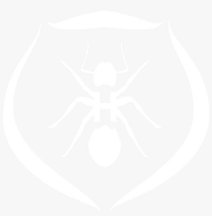 Hormiga Shield White - Araneus, transparent png download