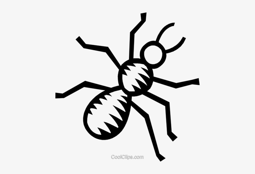 Hormiga Libres De Derechos Ilustraciones De Vectores - Formiga Vetor Png, transparent png download