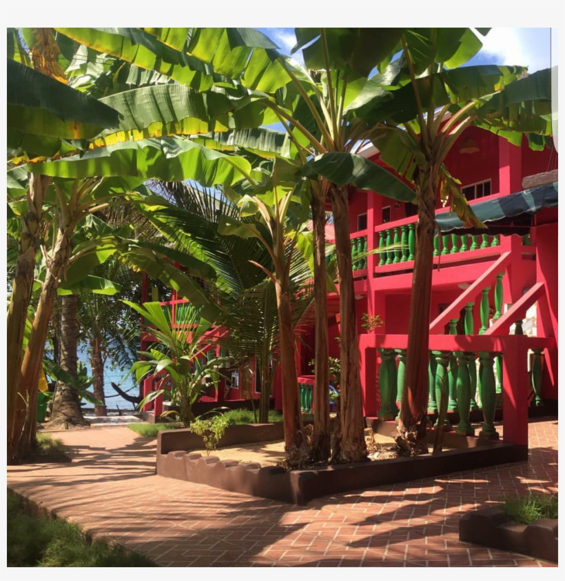 Hotel Las Palmeras From $25 - Resort, transparent png download