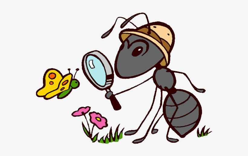 Otros Blogs Que Te Pueden Interesar - النمل كرتون, transparent png download