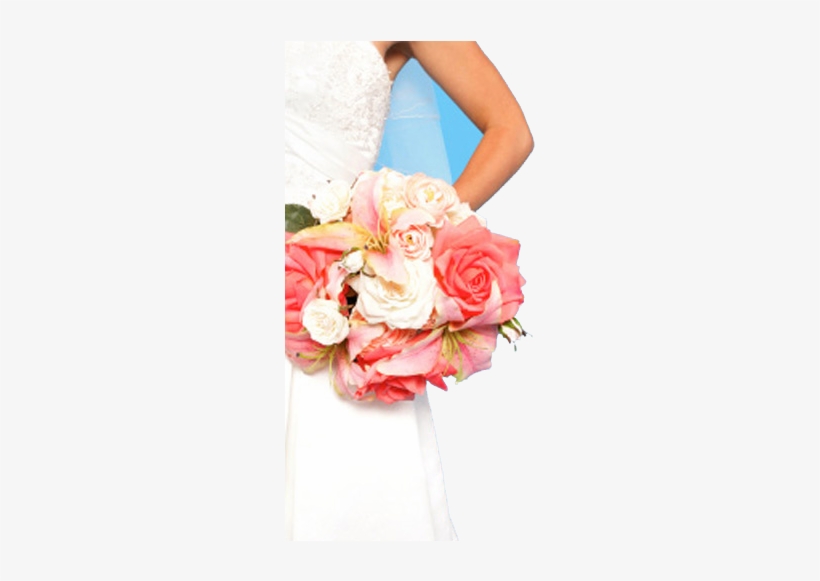 Novia - Adirondack Mountains, transparent png download