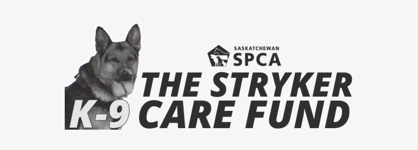 Program Overview - Peruvian Hairless Dog, transparent png download