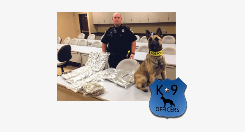 So, Just How Much Do These Wonderful Creatures Help - Police Dog, transparent png download