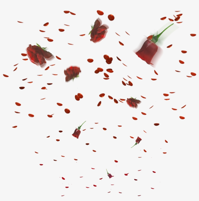 Floating Flower Png - Illustration, transparent png download