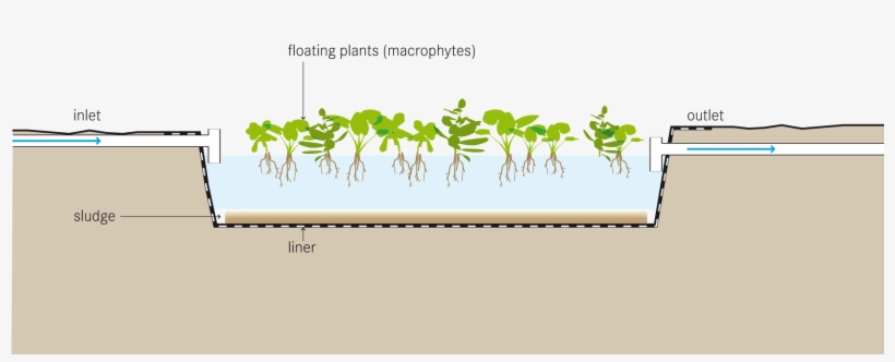 Open - Floating Aquatic Plant System, transparent png download