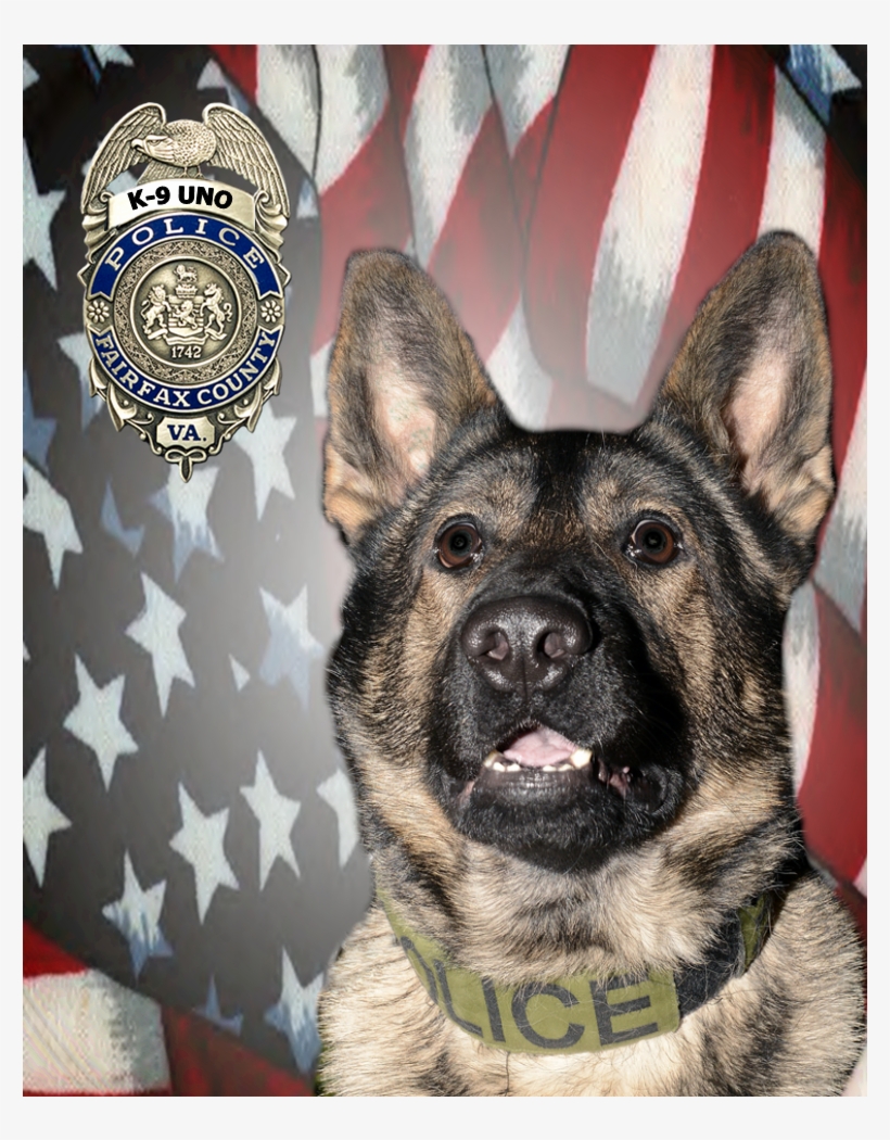 07172013uno K915 - Fraud Detection, transparent png download