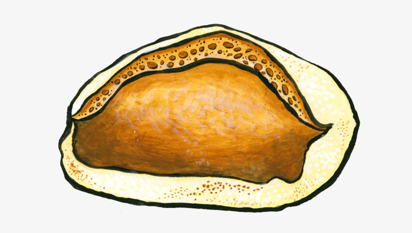 Bread, transparent png download