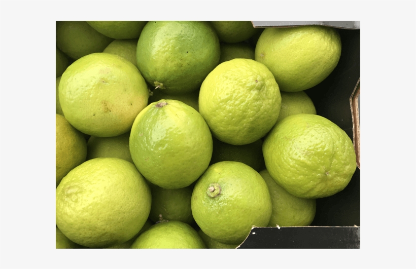 Limón Verde - Persian Lime, transparent png download