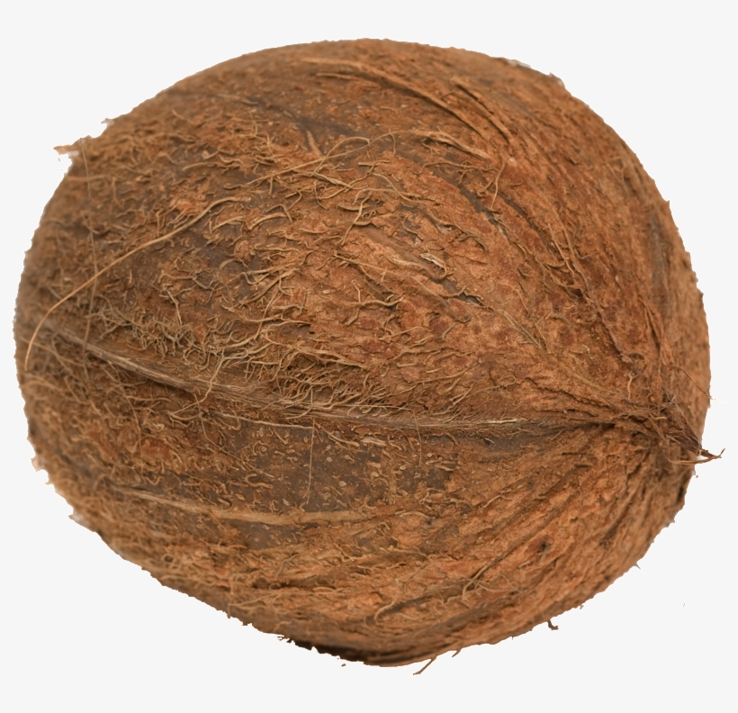 Coconut Transparent Fruit Png - Portable Network Graphics, transparent png download