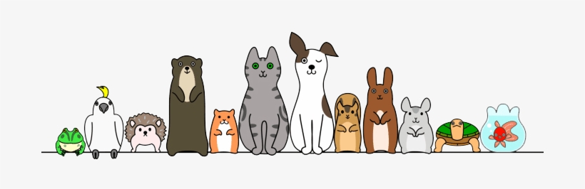 Weekly Specials Whiteway Pet Shop In Elizabeth, Nj - Pet, transparent png download