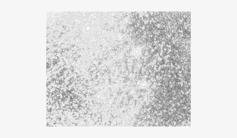 Concrete, transparent png download