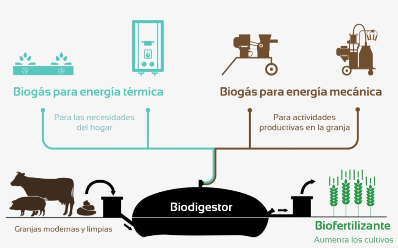 Los Beneficios De Un Biodigestor Sistema Biobolsa - Sistema Biobolsa, transparent png download