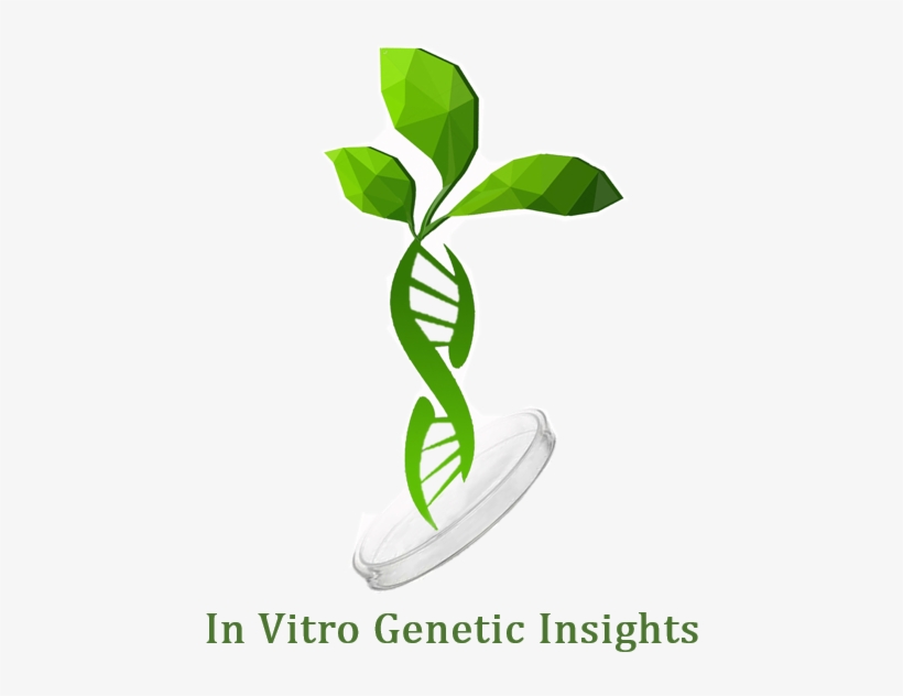 Regeneration Of Differentiated Organisms From Single - Plant Genes, transparent png download
