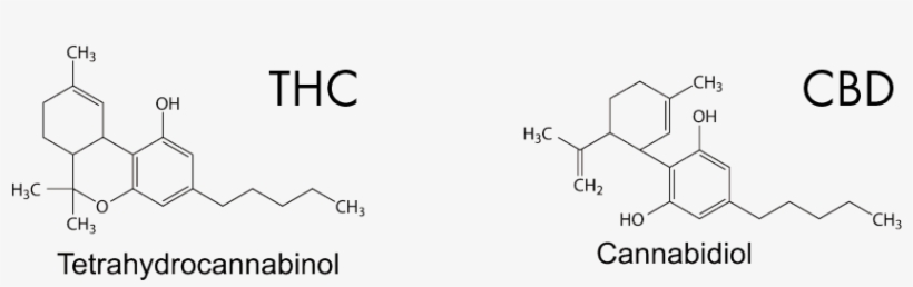 Structural Formulas Thc -cbd - Thc Vs Cbd Formula, transparent png download