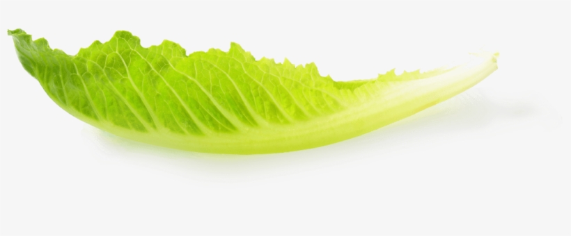 A Fresh Approach To Business Lending - Lettuce, transparent png download