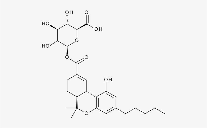 11 Nor Delta9 Thc 9 Carboxylic Acid - Glucuronidation Carboxylic Acid, transparent png download