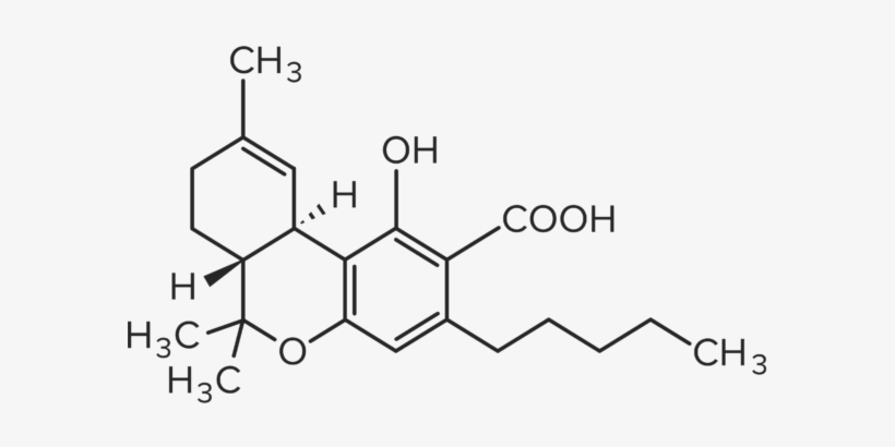 Molecules For Website Final 03 - Cannabidiolic Acid, transparent png download