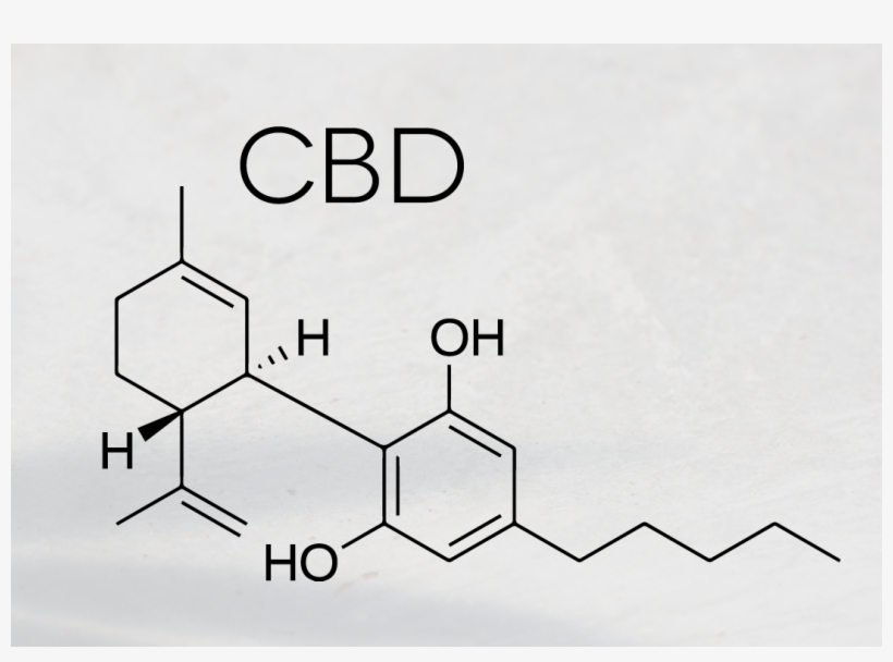 Cannabidiol Is The Second Most Common Phytocannabinoid - Cannabis Sativa Chemical Composition, transparent png download