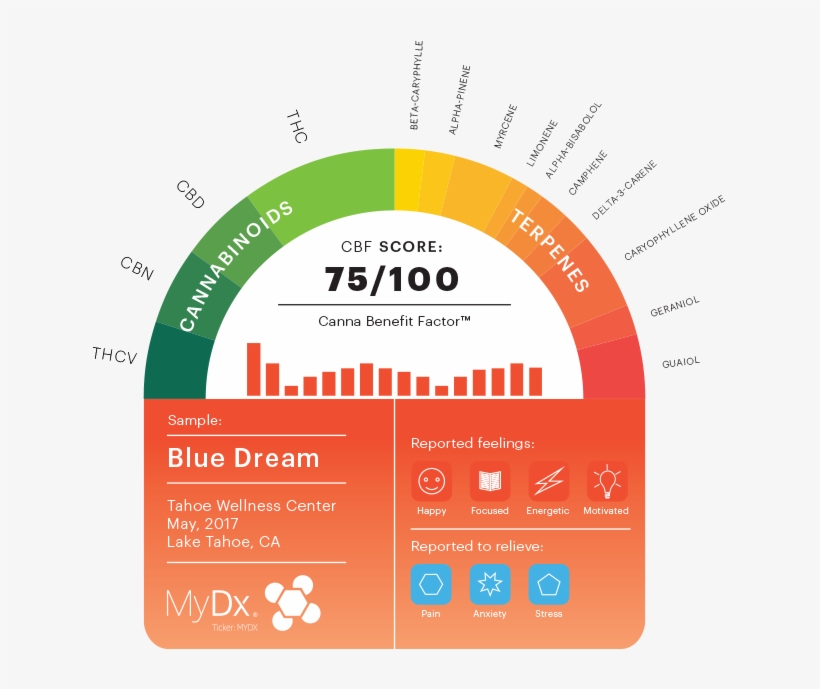 How A Chemical Profile Makes You Feel And What It Helps - Cannabis Chemical Profile, transparent png download