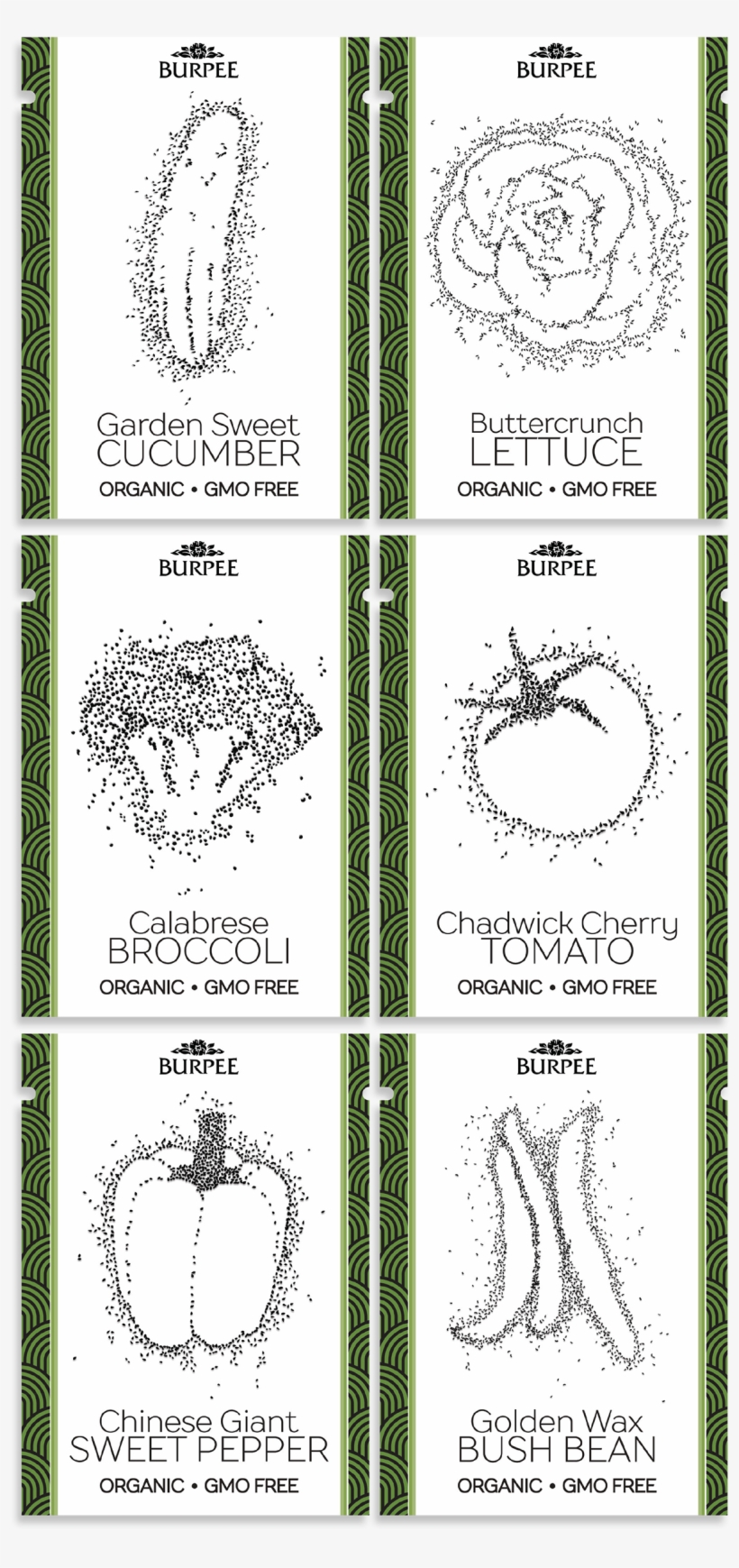 Seeds Looked Like And Illustrated The Vegetable Using - Illustration, transparent png download