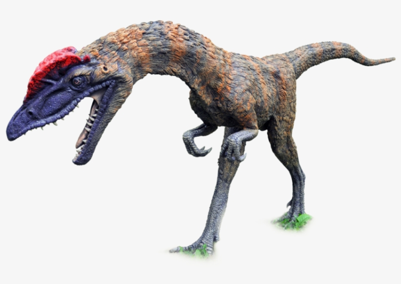 Download Dinosaur Png Clipart 149 - Dinosaur Png, transparent png download