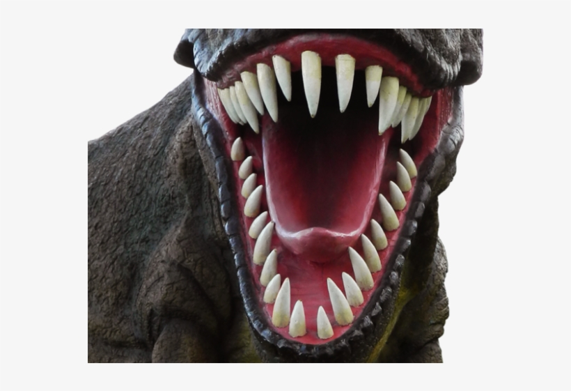 Dinosaur Png Transparent Images - Dinosaur Head Png, transparent png download