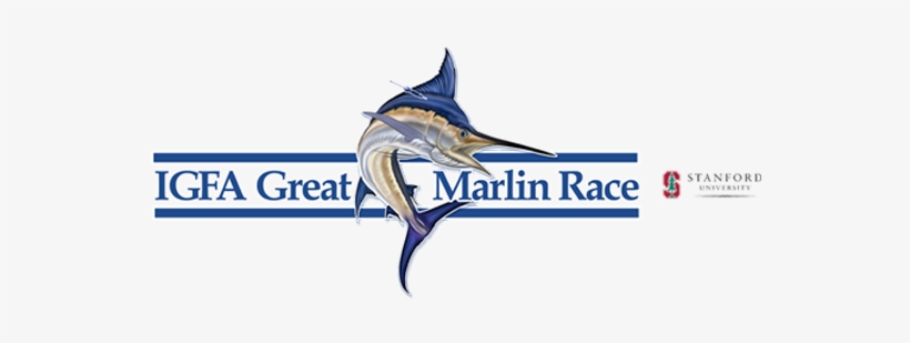 Atlantic Blue Marlin, transparent png download