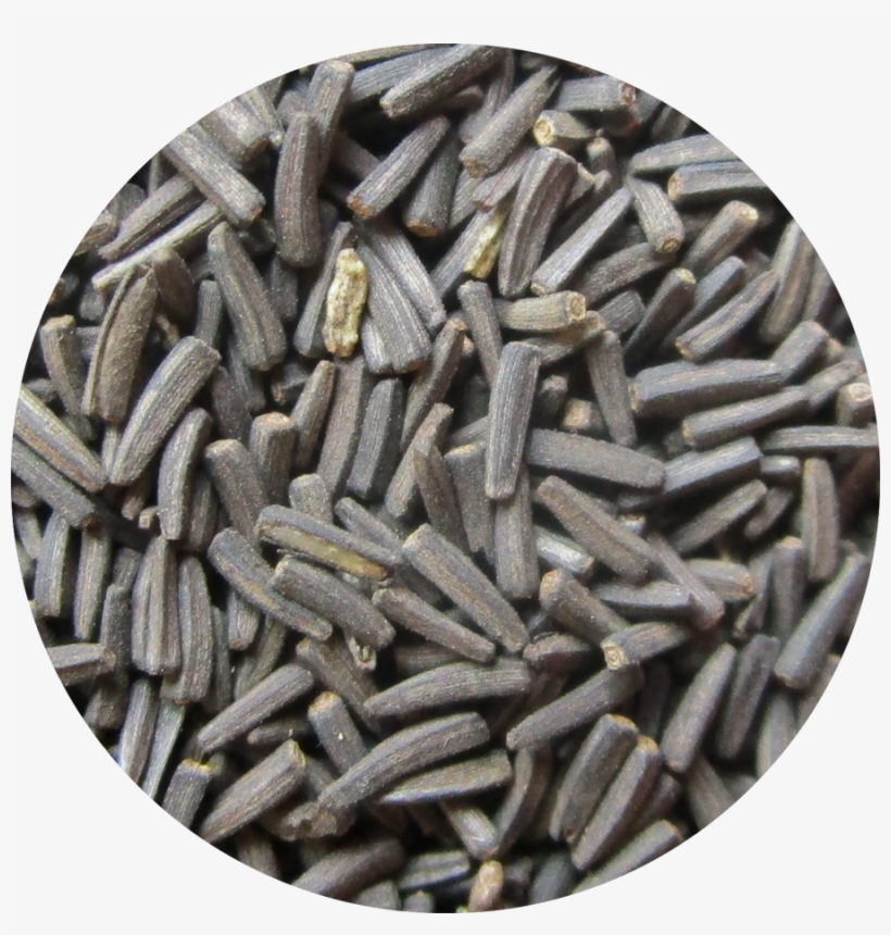 Black Eyed Susan - Pebble, transparent png download