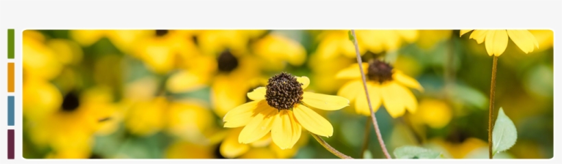 Contact - Northland Counseling Center, transparent png download