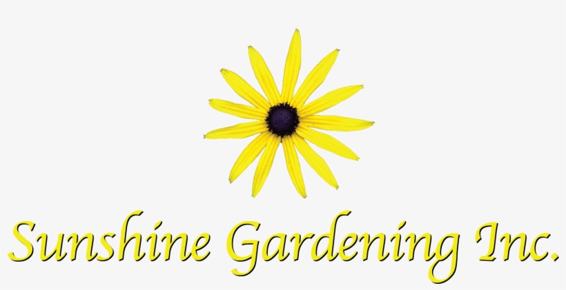 Sunshine Gardening Logo Vertical Sg Logo-vertical - Black-eyed Susan, transparent png download