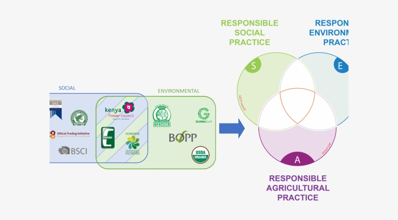 Benchmarking, transparent png download