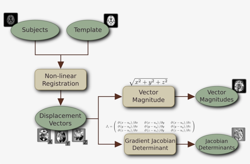 Obtaining The Measures Of The Displacement Vectors - Dbm, transparent png download
