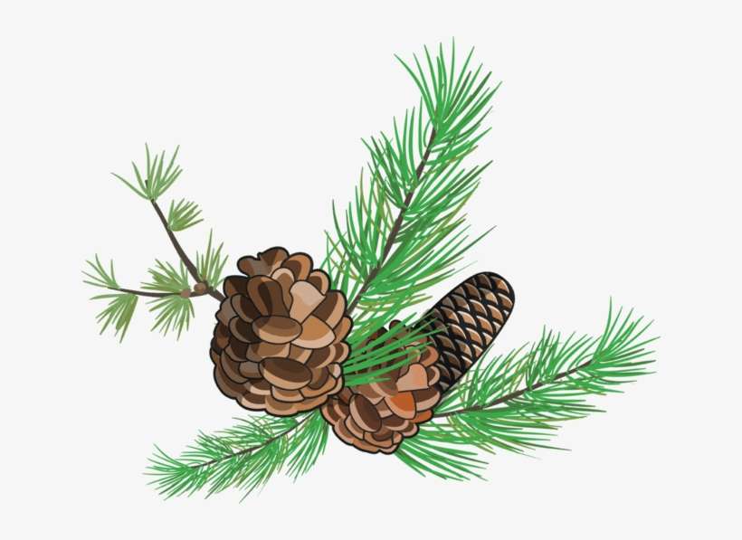 Like Us On Facebook - Illustration, transparent png download