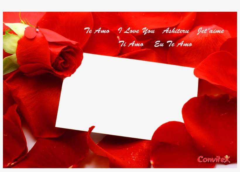 Rosas Vermelhas - Garden Roses, transparent png download