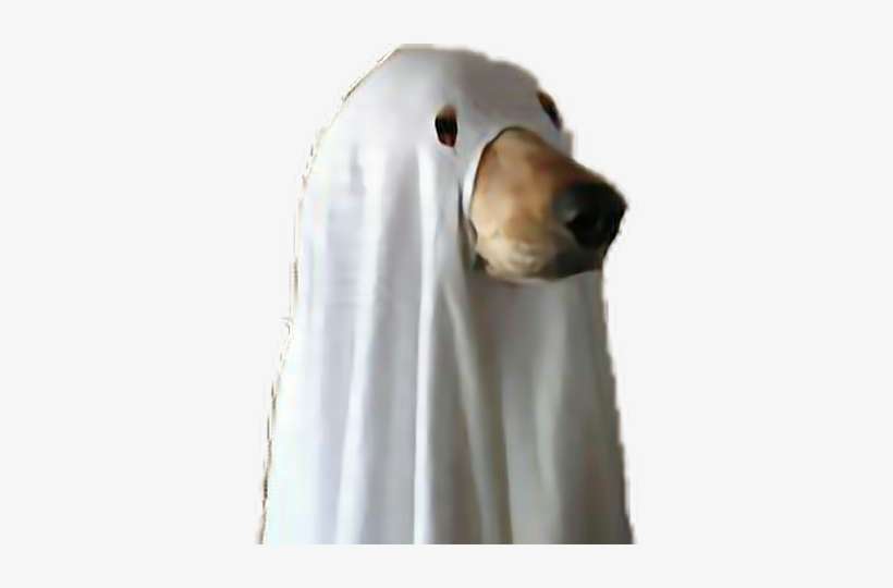 Report Abuse - Spoopy Ghost Dog, transparent png download