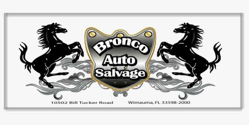 Home - Italian Stallion Italy Flag Magnet, transparent png download
