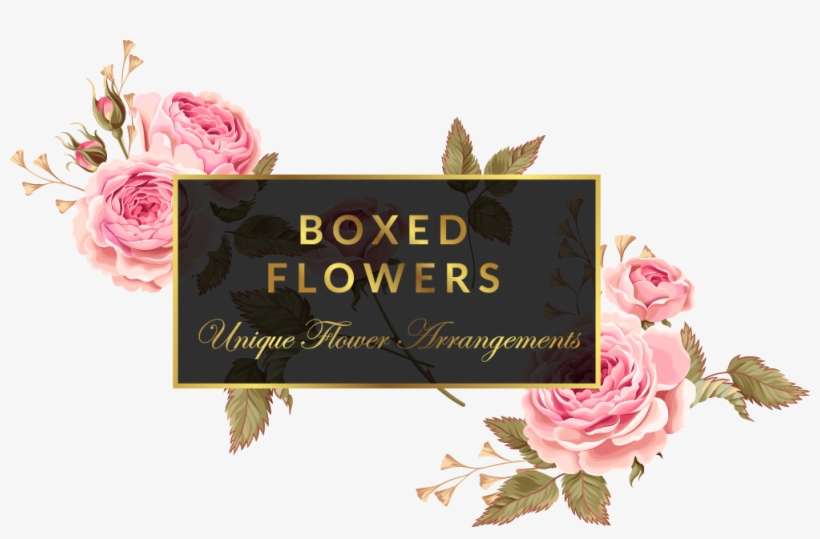 Boxed Flowers And Sweets - Color The Psalms: Catholic Coloring, Drawn To Faith, transparent png download