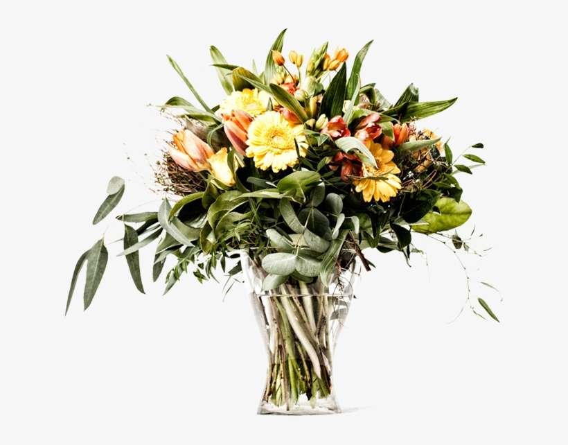 A Floricultura Rosa Vermelha - Flower, transparent png download