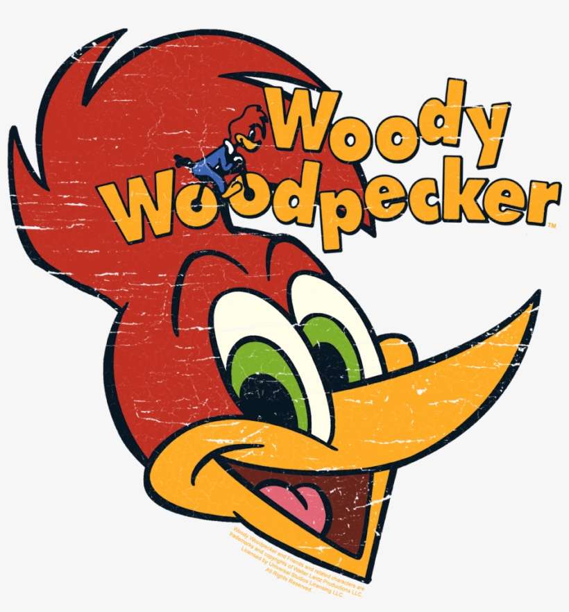 Woody Woodpecker Retro Logo Toddler T-shirt - Sweater, transparent png download