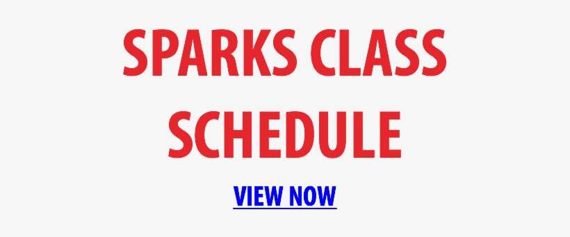 Reno Class Schedule View Now Sparks Class Schedule - Puns About People Who Hate Puns, transparent png download