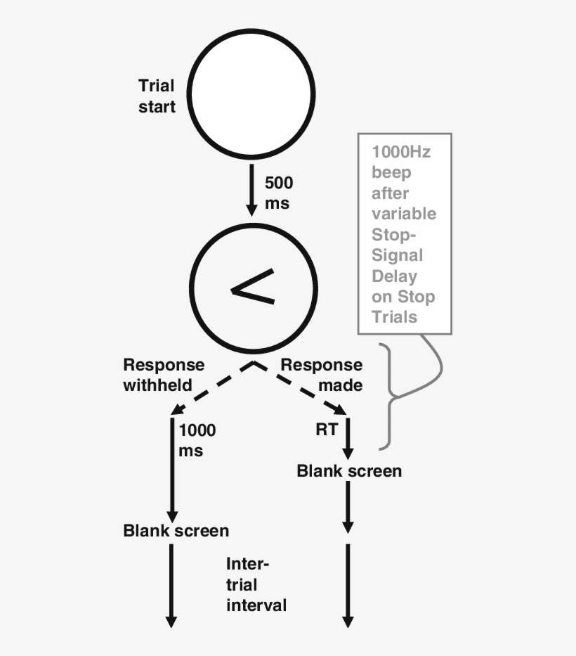 Events In The Stop-signal Task - Dow Jones Factiva, transparent png download