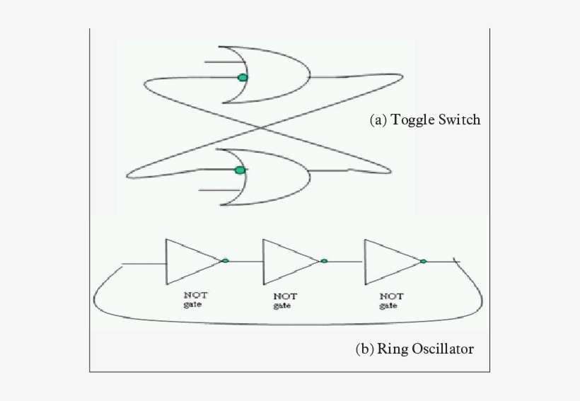 A Toggle Switch Where Two Implies Gates Are Connected - Diagram, transparent png download