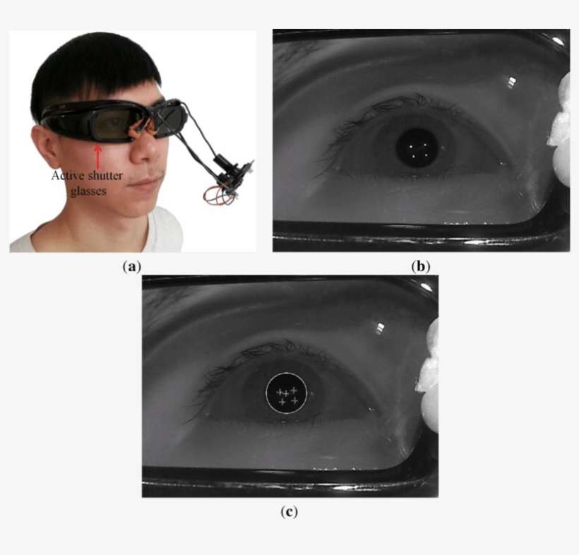 Examples Of Applying Our Device And Method To The Active - Sensor, transparent png download