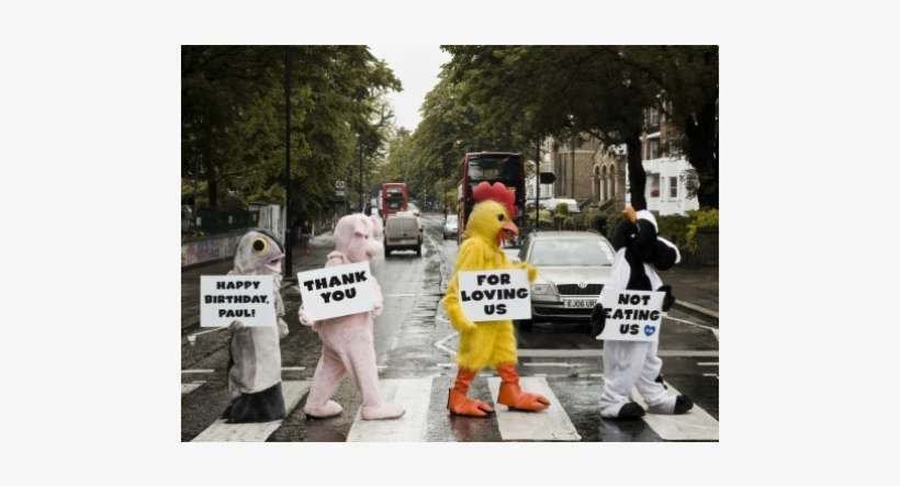 Paul Mccartney Abbey Road Crossing, transparent png download