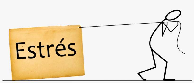 El Perejil - Keep Going When Things Are Tough, transparent png download