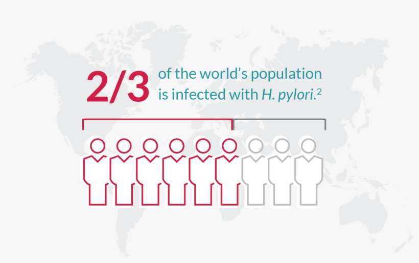 Nearly 1 In 3 Adults And 25% Of Children† In The United - Labeled World Map Pastel, transparent png download