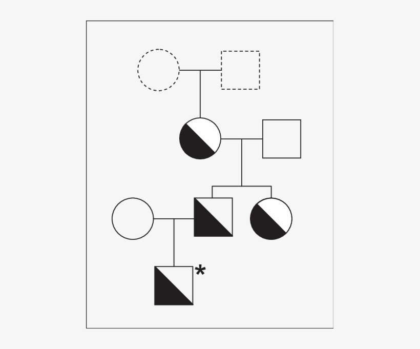The Pedigree Of The Index Family Sec A - Diagram, transparent png download