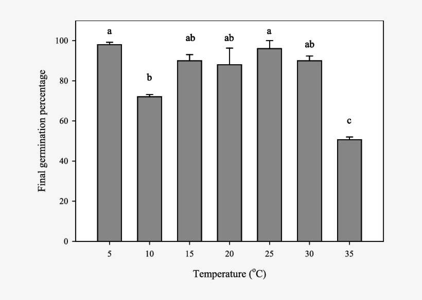 Germination Percentage Of Hosta Yingeri Seeds At 5°c, - 3t3-l1, transparent png download