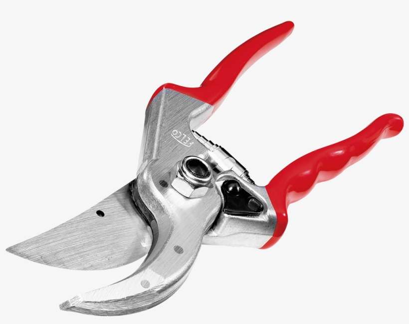 Hosta Foliage Is Perfect For Cutting, transparent png download