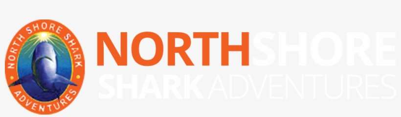 North Shore Shark Adventures, transparent png download